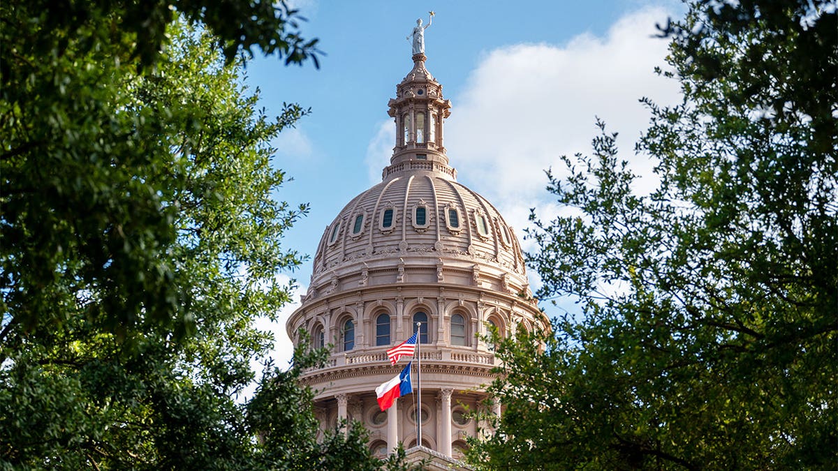 Texas State Capitol closeup shot between trees