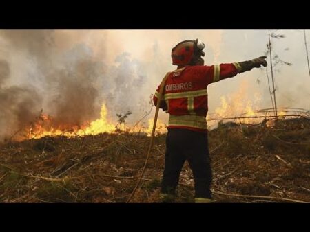 Firefighters ‘exhausted’ on the second day of Portugal’s state of alert for wildfires