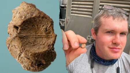 Rare biblical seal with ancient fingerprint found in debris from Jerusalem’s Temple Mount
