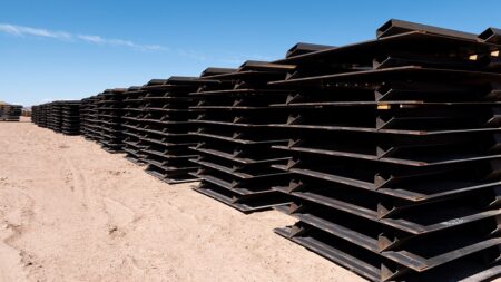Trump border wall materials sold by Biden may soon find their way back to the feds, auctioneer claims