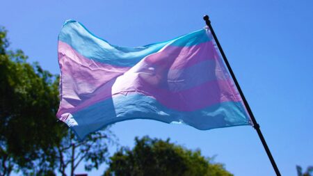 Appeals court allows Arkansas’ first-in-the-nation ban on gender transition care for minors to be enforced