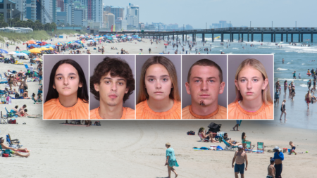 Victim’s girlfriend among 9 teens arrested in 16-year-old’s beach town murder