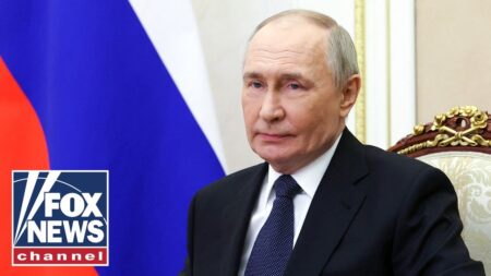 Putin is the ‘opposite’ of peacemaker: Levin