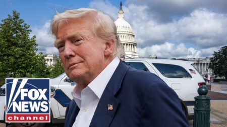 Trump’s DC police takeover may be a ‘temporary fix,’ DC police union chairman warns