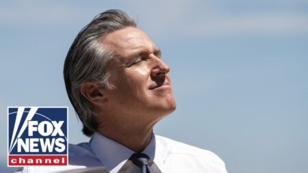 Gavin Newsom could look like a fool for this: Mark Penn