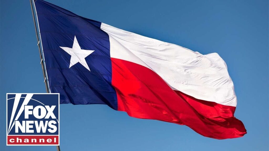 Texas Senate considers Trump-backed redistricting map