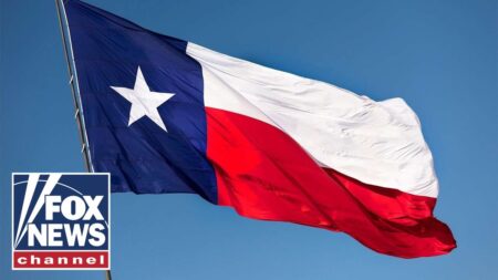 Texas Senate considers Trump-backed redistricting map