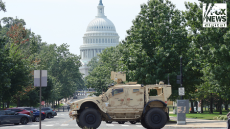 National Guard roll out in 19 states not linked to Trump’s crime crackdown, WH says