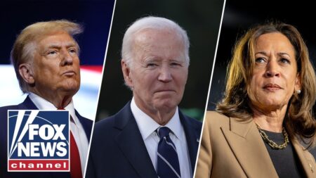 ‘ASTONISHING’: Former Biden spokesperson makes BOLD admission