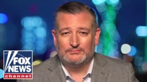 ‘HYPOCRITE’: Ted Cruz blasts Newsom as ‘dishonest’