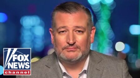 ‘HYPOCRITE’: Ted Cruz blasts Newsom as ‘dishonest’