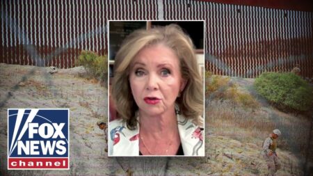 Sen. Blackburn: This guy should be deported ‘swiftly’