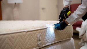 Major Midwest city tops bedbug infestation list for fifth consecutive year
