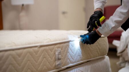 Major Midwest city tops bedbug infestation list for fifth consecutive year