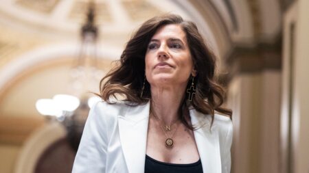 Nancy Mace blasts ‘lunatic rage’ after sparring with protesters at rowdy town hall