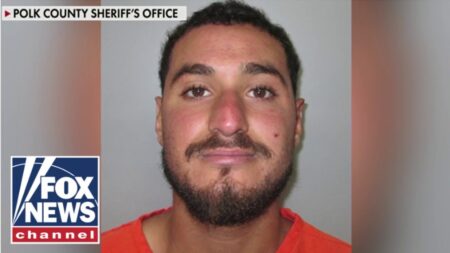 Illegal immigrant smiles in CHILLING arrest photo