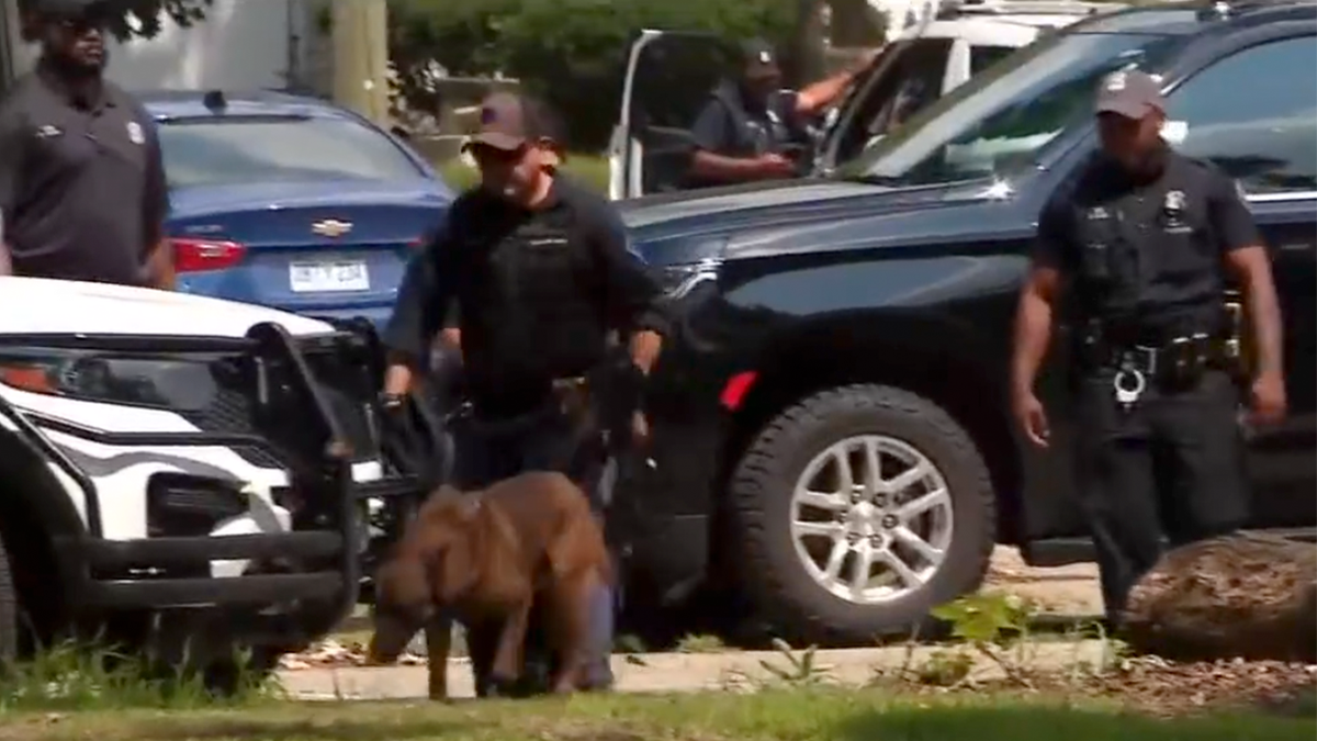 K9s were seen searching a park while authorities were looking for 15-year-old Lawrence Dowl.