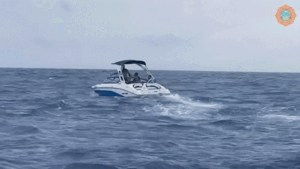 Eight people rescued from sinking boat after running low on fuel in rough Miami waters