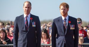 Prince William and Prince Harry In Consideration to Be Godparents to Hugh Grosvenor’s Baby: Report