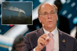 Larry Fink’s BlackRock loses bid to dismiss Texas climate collusion claims