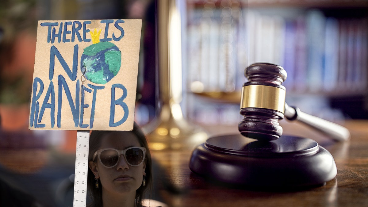 Composite photo shows climate activist holding a protest sign blended with a judge's gavel