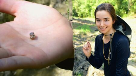 Manhattan woman finds 2.3-carat diamond for engagement ring after three-week quest
