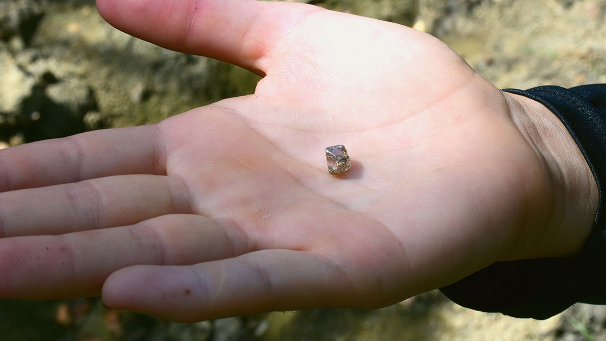 A New York woman recently discovered a 2.3-carat white diamond at an Arkansas state park while searching for one to place in her engagement ring.