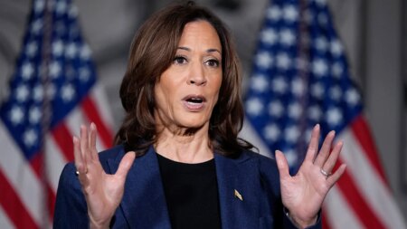 Kamala Harris’ major California announcement triggers circular Dem firing squad