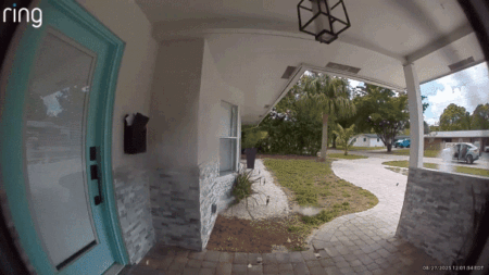 Doorbell camera captures gunmen opening fire on Florida home in broad daylight shooting