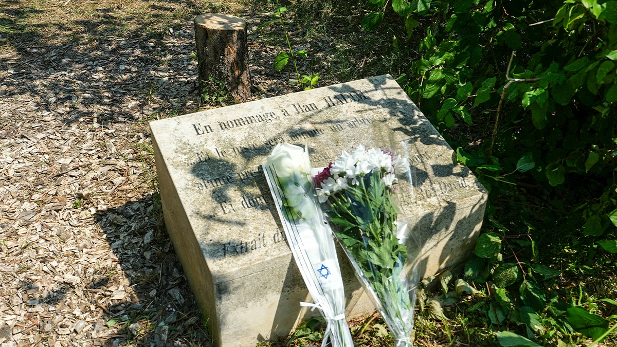 Flowers placed at a near a memorial tree that was cut down