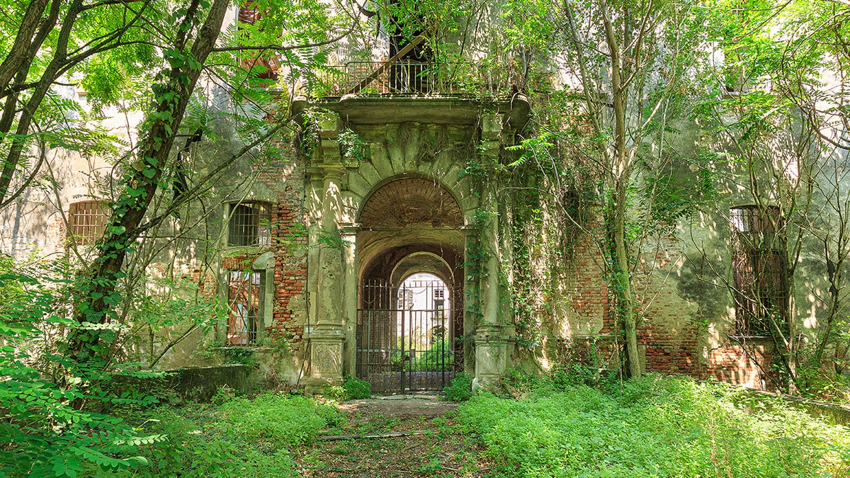 Historic castle exterior with moss