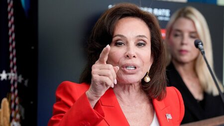 Pirro calls out DC laws letting ‘young punks’ off the hook for violent crimes
