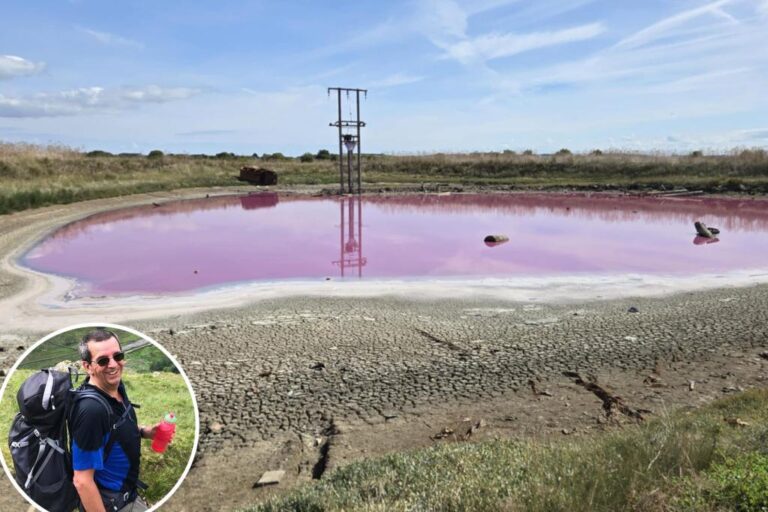 Visitors shocked to see rare, neon pink lake during hike — and the reason for the spectacle left them ‘filled with sadness’