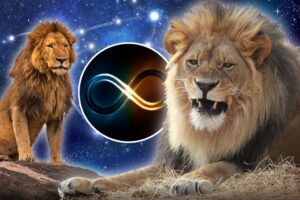 What is the Lion’s Gate Portal 2025? What to do, how to make the most of it