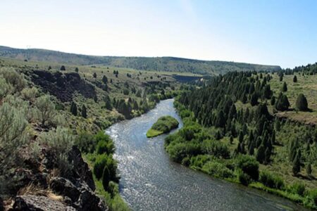 Life-size sex doll found in Idaho river after cops spend 3 hours searching for reported body