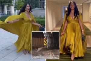 Progressive Chicago pol Stephanie Coleman accused of ‘prancing’ around Nashville as home district flooded in storms: ‘Tiffany Henyard vibes’