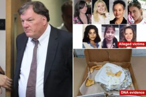 Gilgo Beach serial killer case could be test of advanced DNA evidence in criminal court