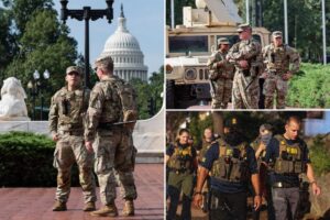 Former Capitol Police chief backs federal takeover of DC force after spike in youth gang crime