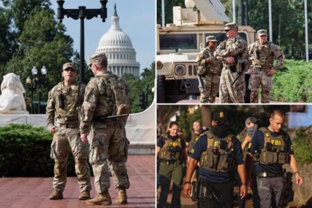 Former Capitol Police chief backs federal takeover of DC force after spike in youth gang crime