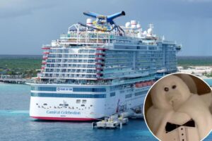 Cruise ship passenger shocked to find this hidden housekeeping secret under his bed: ‘Like finding out Santa isn’t real’