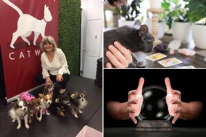 Talk to the animals: This pet psychic knows what your pet is thinking