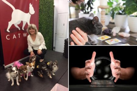 Talk to the animals: This pet psychic knows what your pet is thinking