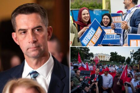 US Muslim charity which takes in over m a year should be investigated over Hamas ties: senator Tom Cotton