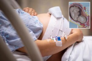 ‘Pregnancy robots’ could give birth to human children in revolutionary breakthrough — and a game-changer for infertile couples
