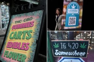 Exclusive | Pot peddler forced to abruptly yank plan for NYC shop over latest state debacle