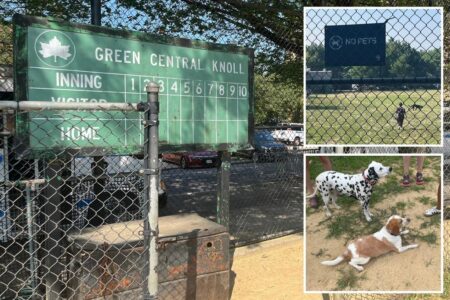 ‘Entitled’ NYC pet owners turn kiddie ballfield into illicit poop-filled dog park