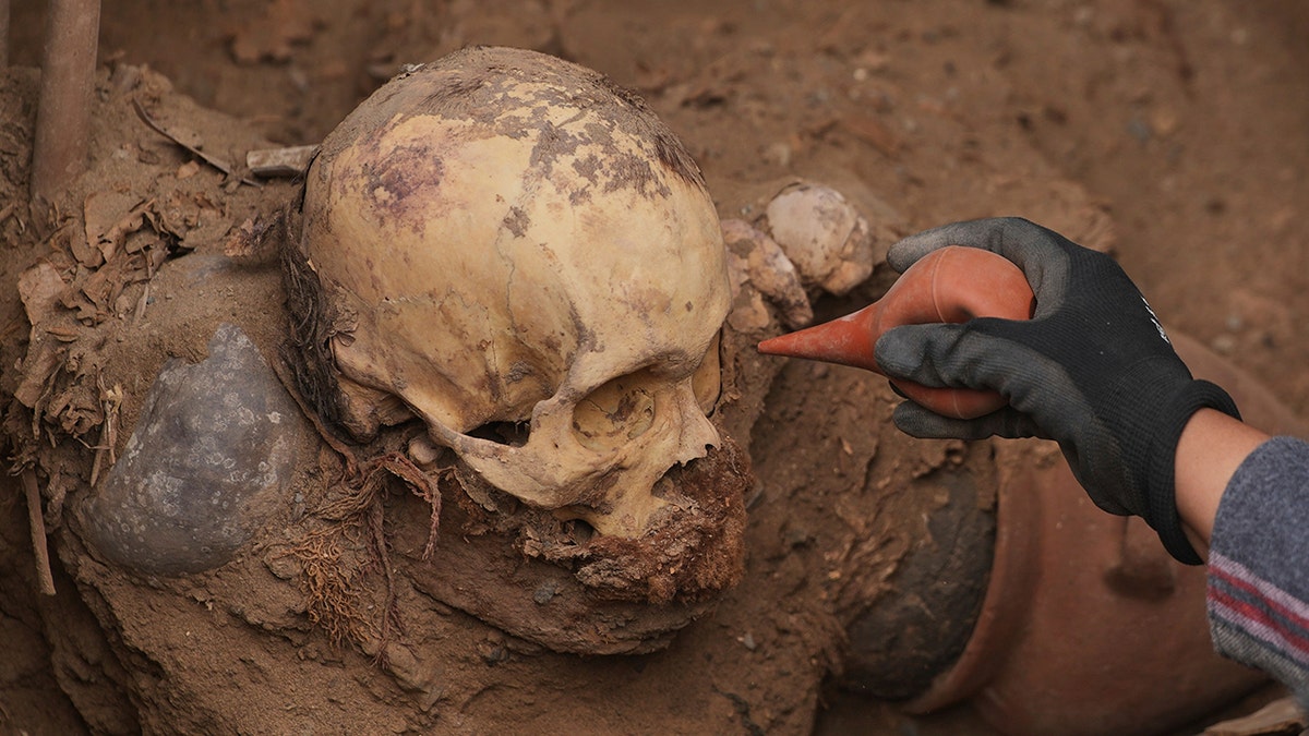 Close-up of ancient skeleton in dirt