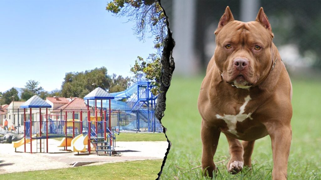 Woman killed and another severely injured after dog mauling at Southern California park