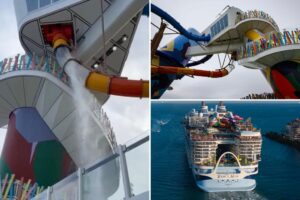 Frightened Royal Caribbean passengers scream as water slide glass suddenly shatters, injuring guest