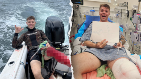 ‘Sharks won’t do anything to you’: Florida spearfisherman attacked by shark minutes after reassuring family